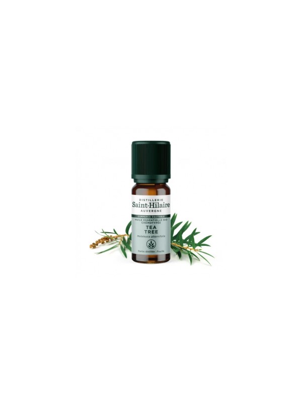 Huile essentielle Tea Tree bio 10ml Distillerie Saint Hilaire Herboristerie de Paris