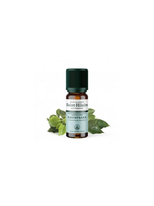 Huile essentielle Ravintsara bio 10ml Distillerie Saint Hilaire Herboristerie de Paris