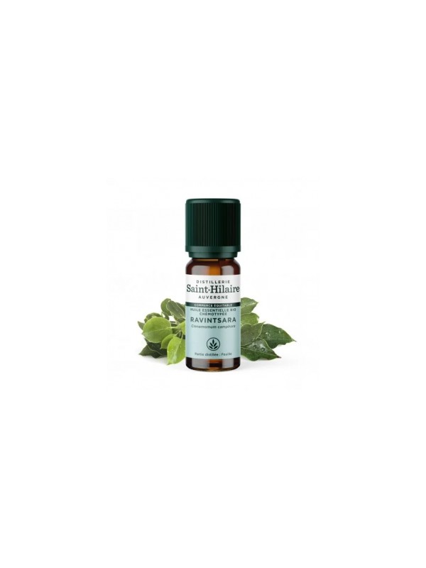 Huile essentielle Ravintsara bio 10ml Distillerie Saint Hilaire Herboristerie de Paris