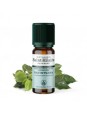 Huile essentielle Ravintsara bio 10ml Distillerie Saint Hilaire Herboristerie de Paris