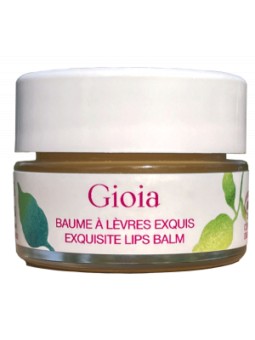 Gioia Baume à  lèvres exquis 6g Les Douces Angevines Herboristerie de Paris