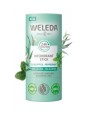 Déodorant stick solide eucalyptus peppermint 50g Weleda Herboristerie de Paris eucalyptus menthe poivrée
