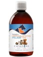 Animalyon Articulation Os Pelage 500ml Catalyons Herboristerie de Paris magnésium potassium silicium
