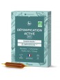 Détoxification active Radis noir Bouleau et Citron 20 ampoules de 10ml Bio Conseils