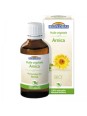 Huile végétale Bio d'Arnica 50ml Biofloral fleurs d'arnica bio Herboristerie de paris