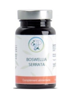 Boswellia serrata 90 gélules Planticinal souplesse mobilité  Herboristerie de paris