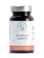 Boswellia serrata 90 gélules Planticinal souplesse mobilité  Herboristerie de paris