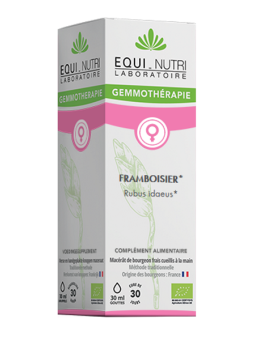 Framboisier bio Flacon compte gouttes 30ml Equi - Nutri gemmothérapie Herboristerie de paris