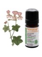 Huile essentielle bio Géranium Bourbon Florame