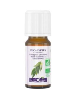 Huile essentielle Eucalyptus Citronné 10ml Dr Valnet Eucalyptus citriodora Herboristerie de paris