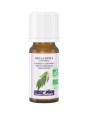 Huile essentielle Eucalyptus Citronné 10ml Dr Valnet Eucalyptus citriodora Herboristerie de paris