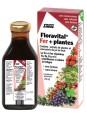Floradix Floravital, Déficit en fer 250ml