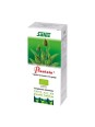 Suc de plantes Bio plantain Flacon 200ml