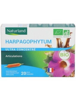 Harpagophytum Bio 20 ampoules de 10ml articulations digestion Herboristerie de paris