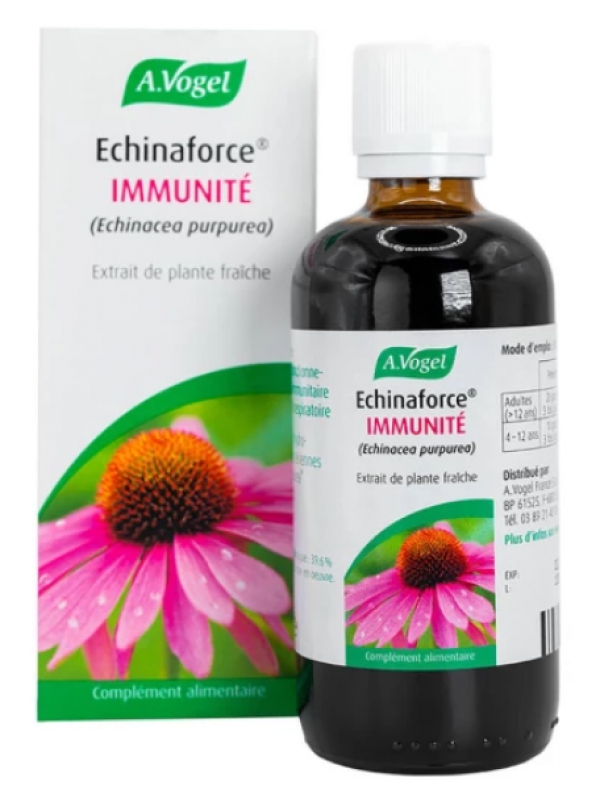 Echinacea   Extrait liquide Flacon compte gouttes 100ml   Echinacea