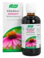 Echinacea   Extrait liquide Flacon compte gouttes 100ml   Echinacea
