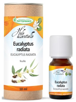 Huile essentielle Eucalyptus Radiata Bio 10 ml Phytofrance Herboristerie de paris santé respiratoire