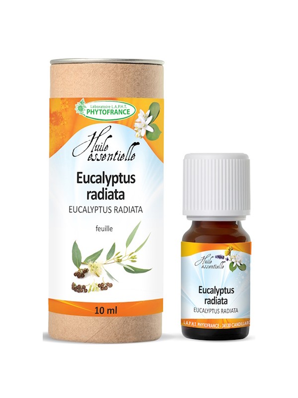 Huile essentielle Eucalyptus Radiata Bio 10 ml Phytofrance Herboristerie de paris santé respiratoire