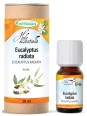 Huile essentielle Eucalyptus Radiata Bio 10 ml Phytofrance Herboristerie de paris santé respiratoire