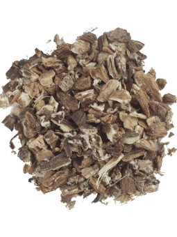 Tisane Grande Bardane Racine BIO 100g Herboristerie de Paris santé du foie, santé de la peau