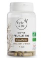 Ortie feuilles bio 120 gélules Belle et Bio Herboristerie de Paris énergie vitalité articulations silicium