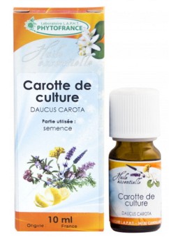 Huile essentielle de Carotte semences 10 ml Phytofrance Herboristerie de paris