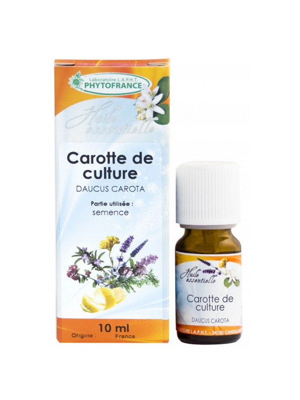 Huile essentielle de Carotte semences 10 ml Phytofrance Herboristerie de paris