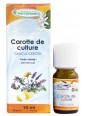 Huile essentielle de Carotte semences 10 ml Phytofrance Herboristerie de paris