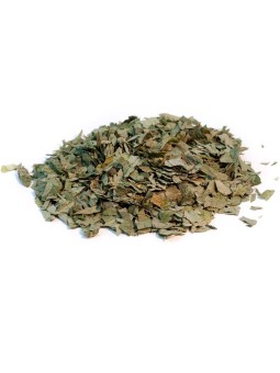 Desmodium feuille coupée 100g Herboristerie de Paris fonction hépatique Herboristerie de paris