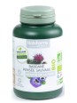Complexe Bardane Pensée Sauvage bio 200 gélules Nat et Form santé de la peau Herboristerie de paris