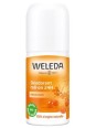 Déodorant roll on 24h Argousier 50ml Weleda senteurs de mandarine et d'orange Herboristerie de paris