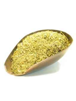 Sabline Rouge partie aérienne 100 gr arenaria rubra Herboristerie de Paris tisane rafraichissante