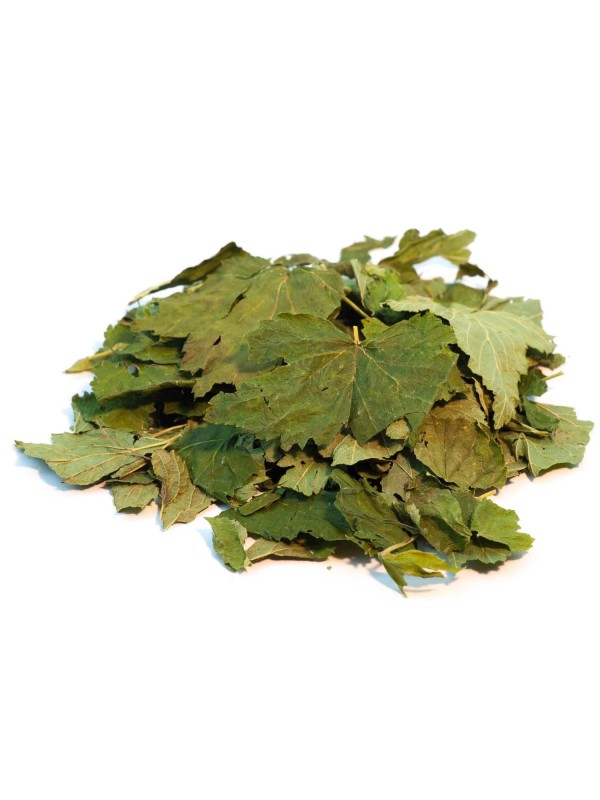 Cassis Feuille entière BIO 50g Herboristerie de Paris fonction articulaire et urinaire