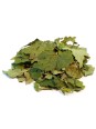 Cassis Feuille entière BIO 50g Herboristerie de Paris fonction articulaire et urinaire