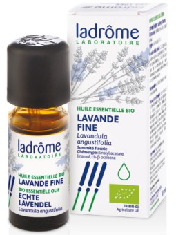 Huile essentielle bio Lavande Fine 10 ml Ladrôme relaxation sommeil Herboristerie de paris lavande vraie