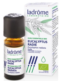 Huile essentielle bio Eucalyptus radié radiata 10ml Ladrôme aide les voies respiratoires Herboristerie de paris