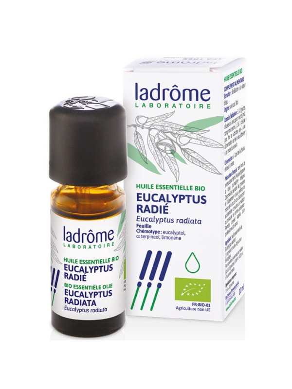 Huile essentielle bio Eucalyptus radié radiata 10ml Ladrôme aide les voies respiratoires Herboristerie de paris