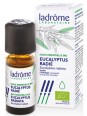 Huile essentielle bio Eucalyptus radié radiata 10ml Ladrôme aide les voies respiratoires Herboristerie de paris