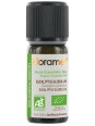 Huile essentielle bio Eucalyptus globulus 10 ml Florame défenses naturelles Herboristerie de paris