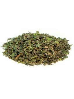 Ortie Piquante feuille 100 gr Tisane Herboristerie de Paris articulations élimination peau cheveux