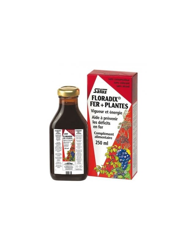 Floradix Fer + Plantes 250 ml Salus anti fatigue gluconate de fer vitamine B12 Herboristerie de paris