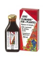 Floradix Fer + Plantes 250 ml Salus anti fatigue gluconate de fer vitamine B12 Herboristerie de paris