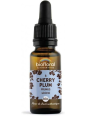 Elixir Prunus, Cherry Plum n°6 20 ml Biofloral émotions pulsions Herboristerie de paris