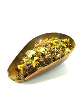 Tisane Touss Bronches de l'Herboristerie de Paris aide les voies respiratoires infusion d'hiver