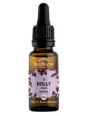 Elixir Houx, Holly n°15 20 ml Biofloral Herboristerie de paris