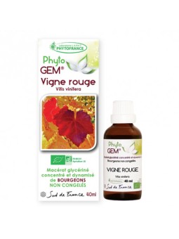 phyto'gemm Vigne rouge 40ml Phytofrance vitis vinifera gemmothérapie circulation sanguine Herboristerie de paris