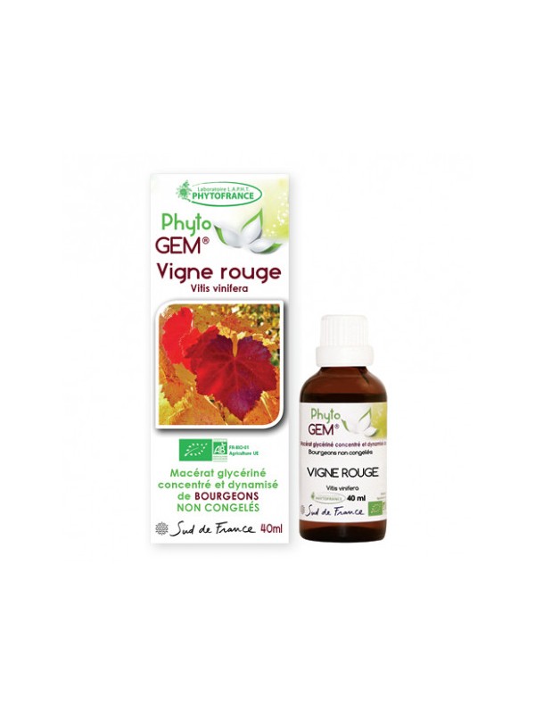 phyto'gemm Vigne rouge 40ml Phytofrance vitis vinifera gemmothérapie circulation sanguine Herboristerie de paris