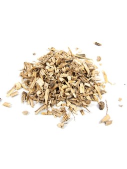 tisane Chiendent Gros rhizome bio 100 gr Herboristerie de Paris infusion santé urinaire
