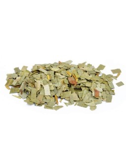 Eucalyptus feuilles coupées bio 100 gr Herboristerie de Paris maintien de la santé respiratoire