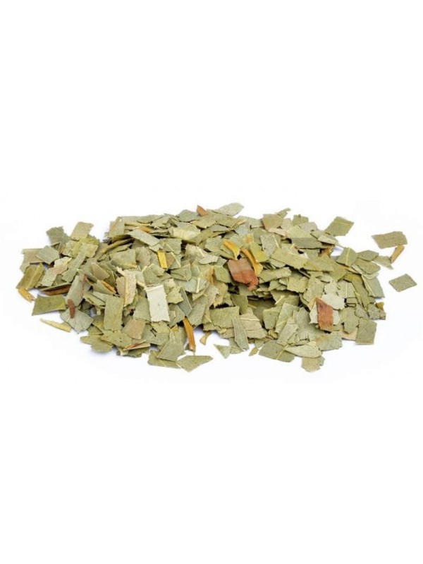 Eucalyptus feuilles coupées bio 100 gr Herboristerie de Paris maintien de la santé respiratoire
